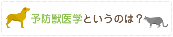 予防獣医学というのは？